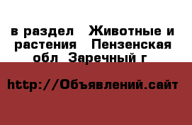  в раздел : Животные и растения . Пензенская обл.,Заречный г.